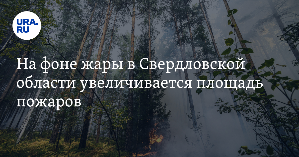 Где горят леса в Свердловской области