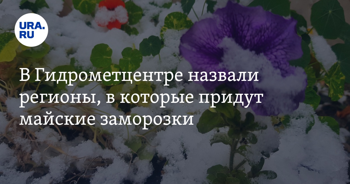 Будут ли майские заморозки - метеоролог