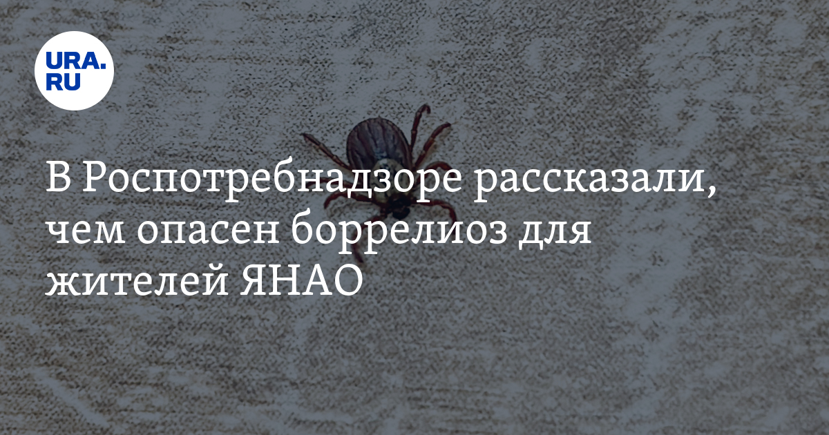 Чем опасен боррелиоз: советы Роспотребнадзора