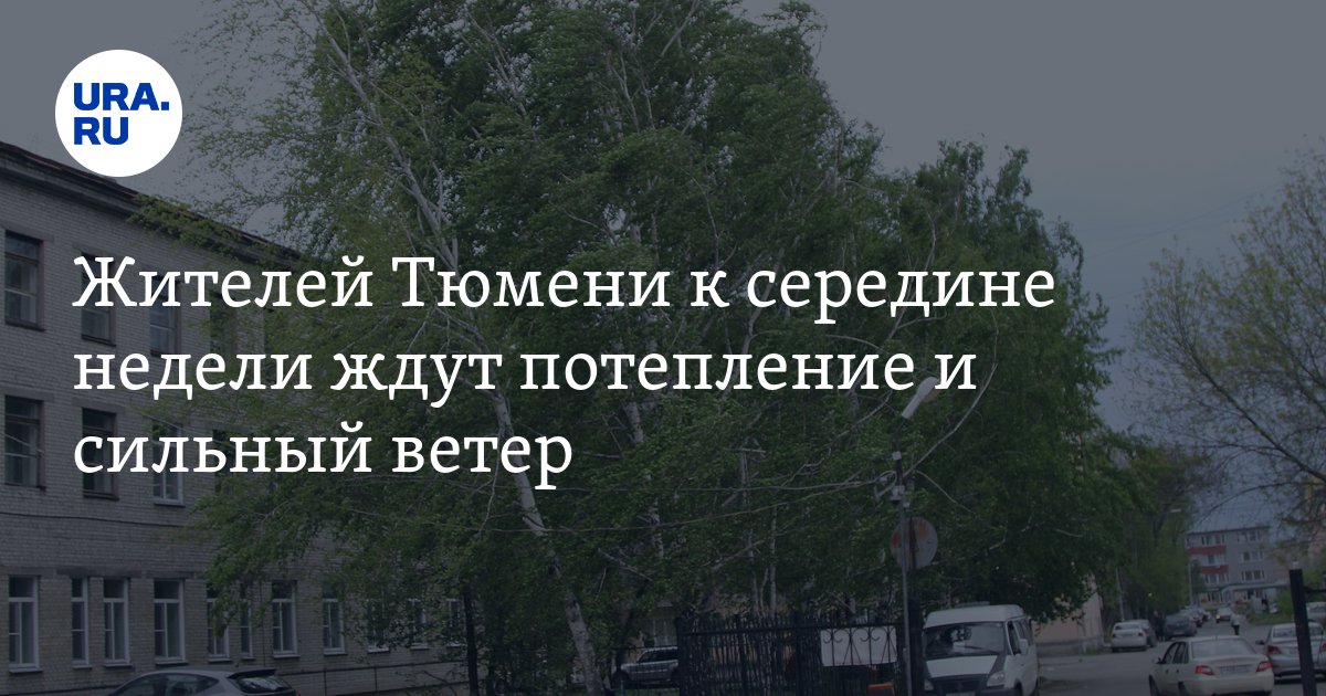 Погода в Тюмени: 28 июня потеплеет до 22 градусов и усилится ветер