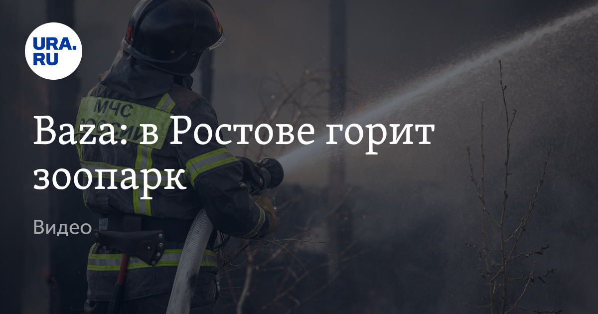 Площадь ростовского зоопарка. Сгорел зоопарк. Ростовский зоопарк горит. Сгорел зоопарк 2024. Пожар.