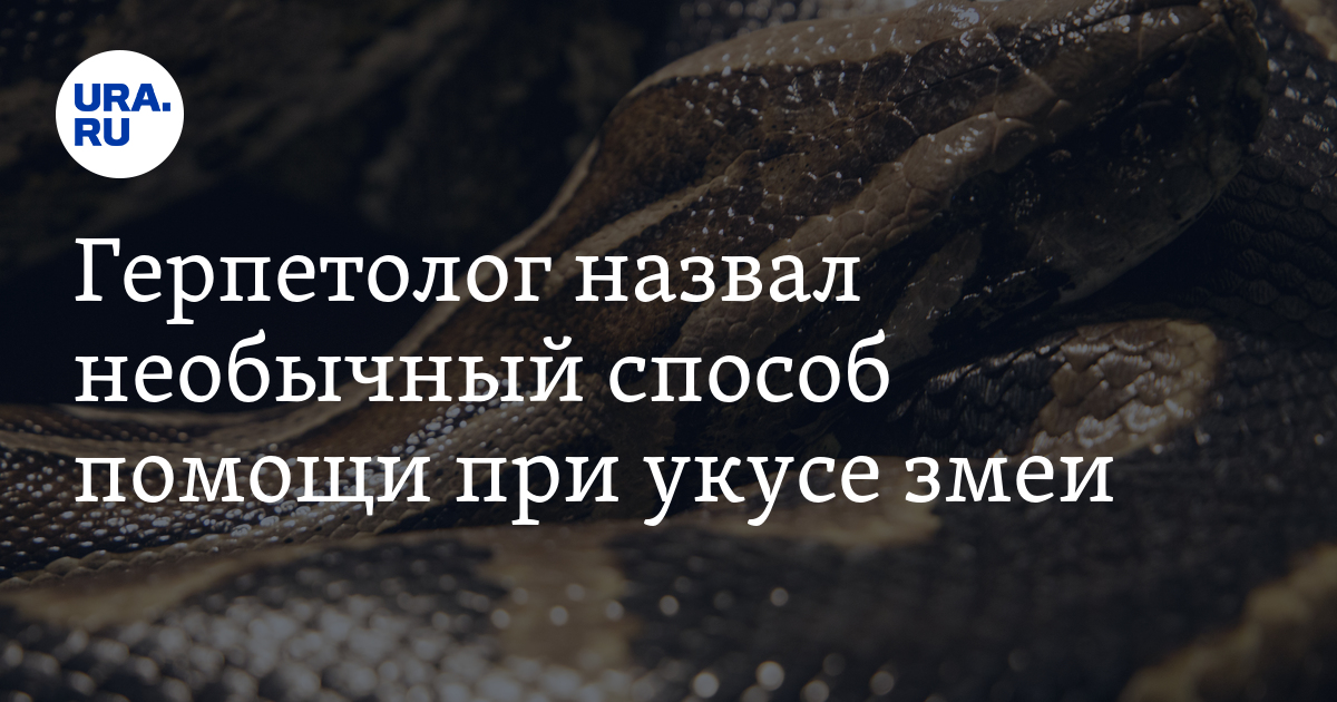 Что делать при укусе змеи - совет герпетолога Черлина