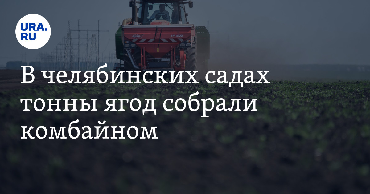 В «Григорьевских садах» Каслинского района ягоды собрали комбайном ...