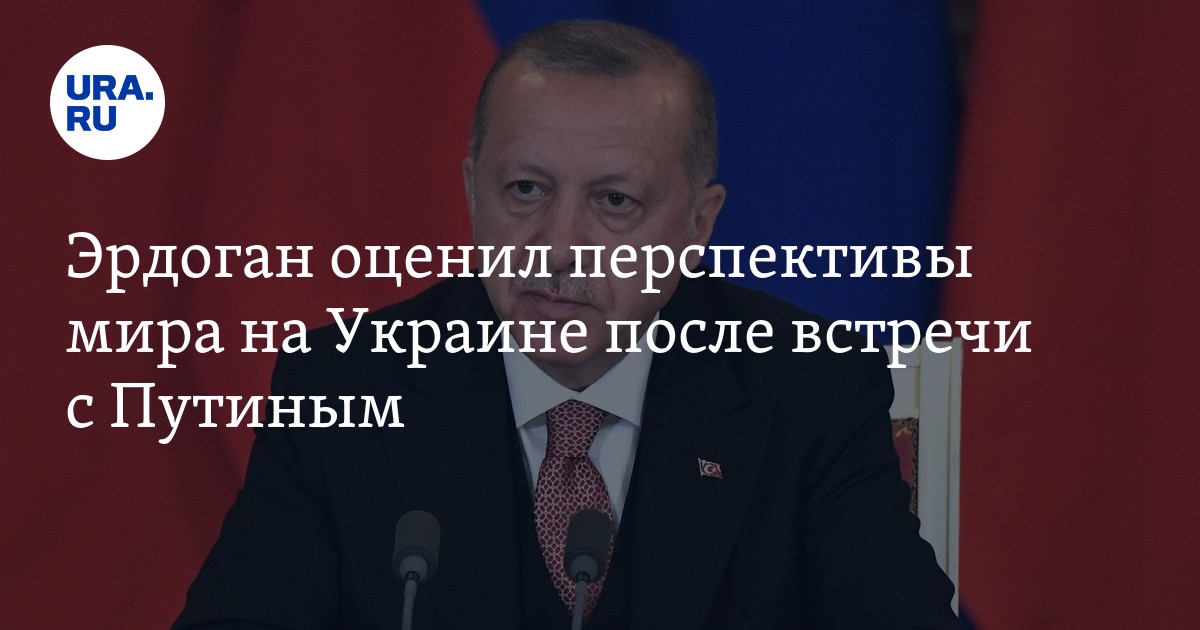 Какие перспективы мира на Украине: мнение Эрдогана