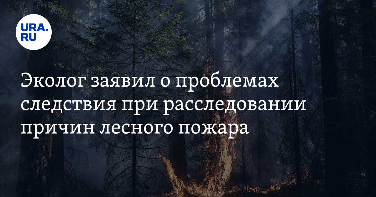 The Hidden Culprit: Investigating the Delayed Effects of Forest Fires in Russia