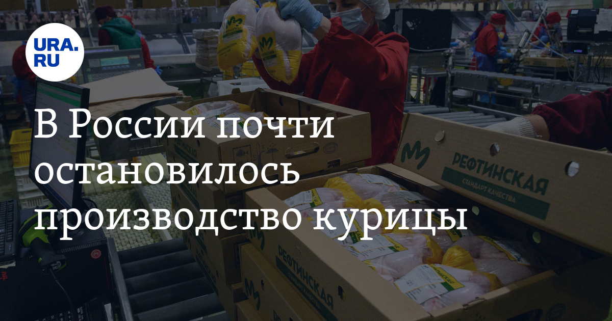 В России почти остановилось производство курицы