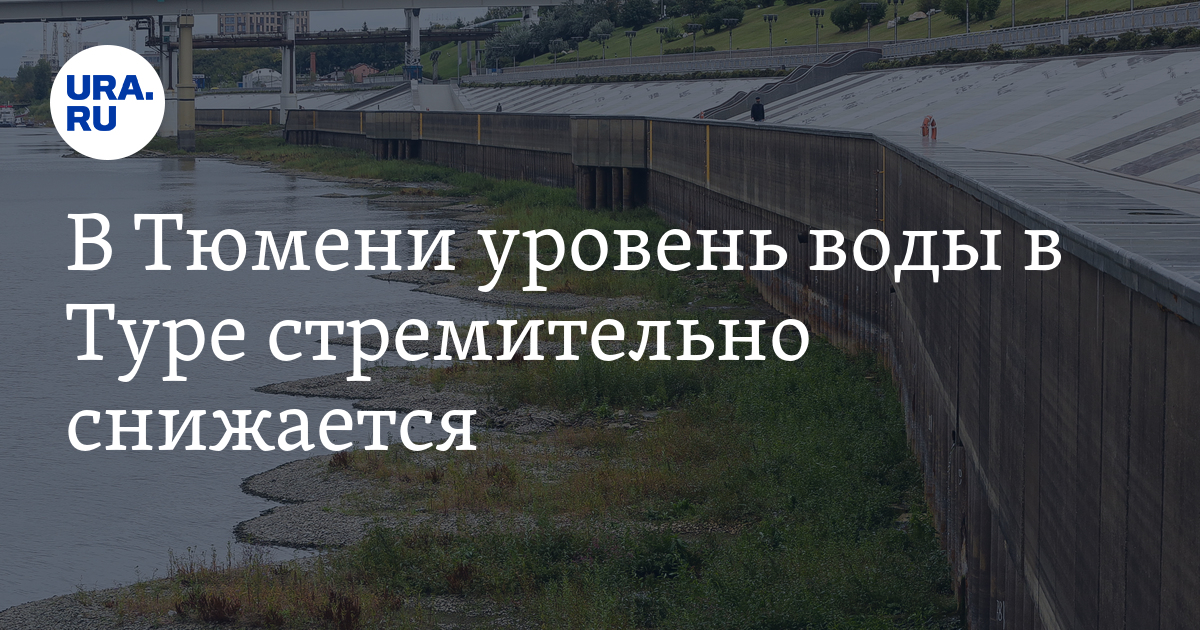 Уровень воды в Туре в Тюмени 26 сентября: скрин