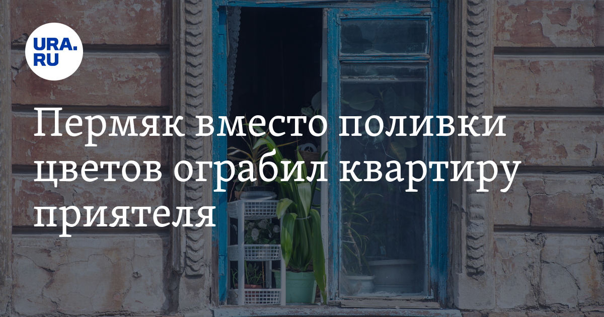Ограбление квартиры в Соликамске в июне 2023 года: подробности