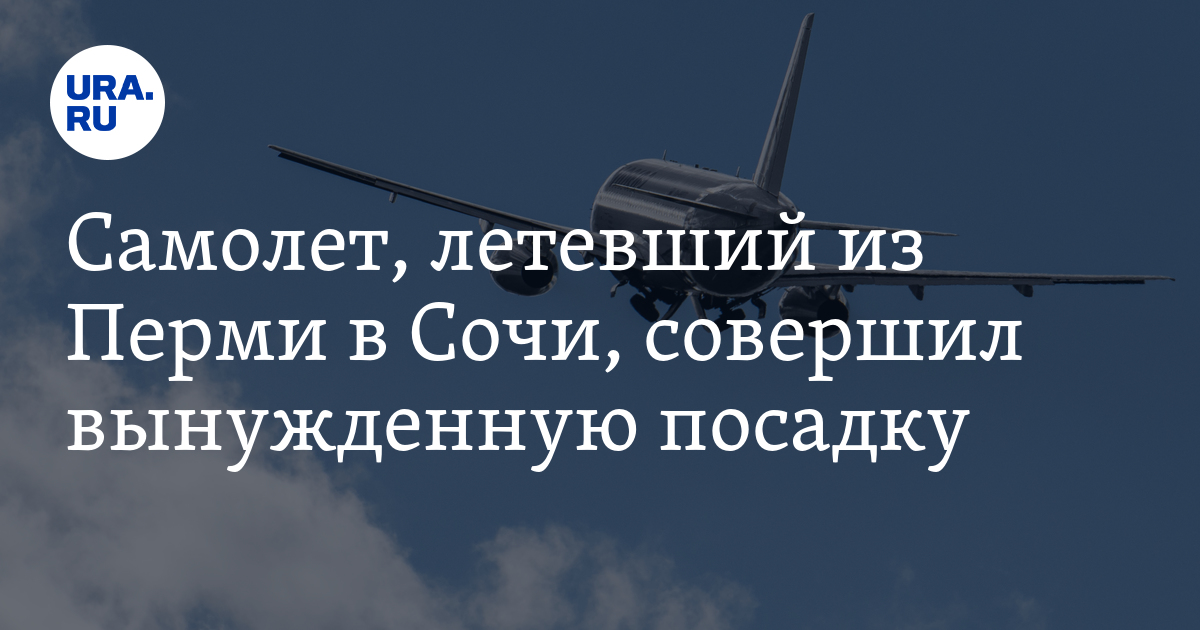 Самолет, летевший из Перми в Сочи, совершил вынужденную посадку