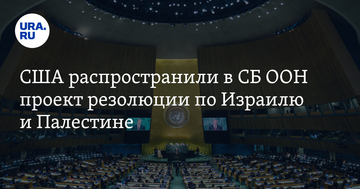 Проект резолюции по Израилю и Палестине передали США в СБ ООН