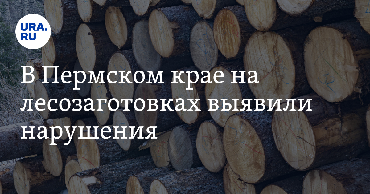 В Пермском крае на лесозаготовках выявили нарушения