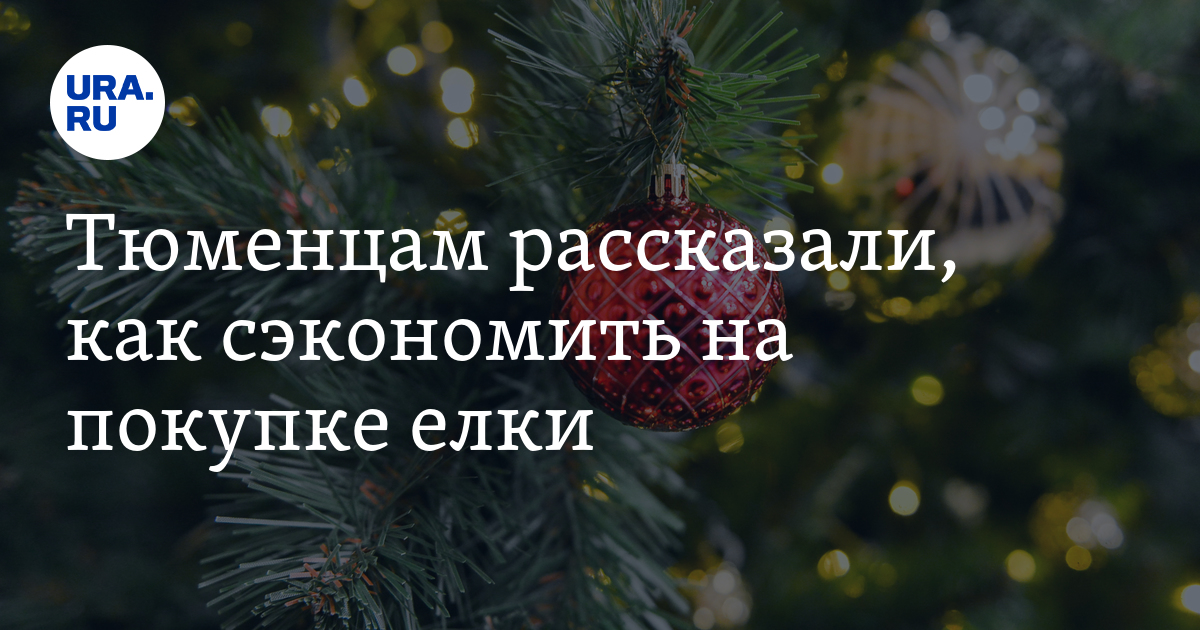 Где купить елку в Тюмени, стоимость