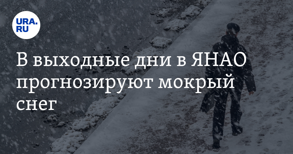 Погода в ЯНАО: в городах округа 11 и 12 ноября ожидается мокрый снег