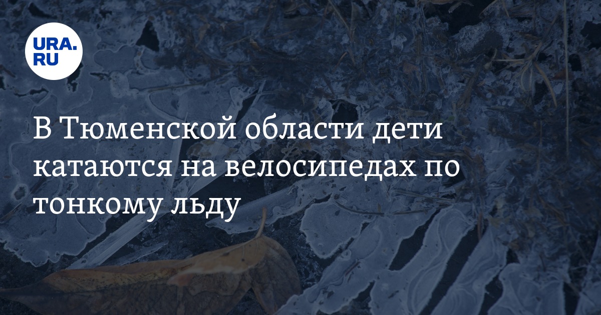 В Вагайском районе дети катаются по тонкому льду на велосипедах: видео ...