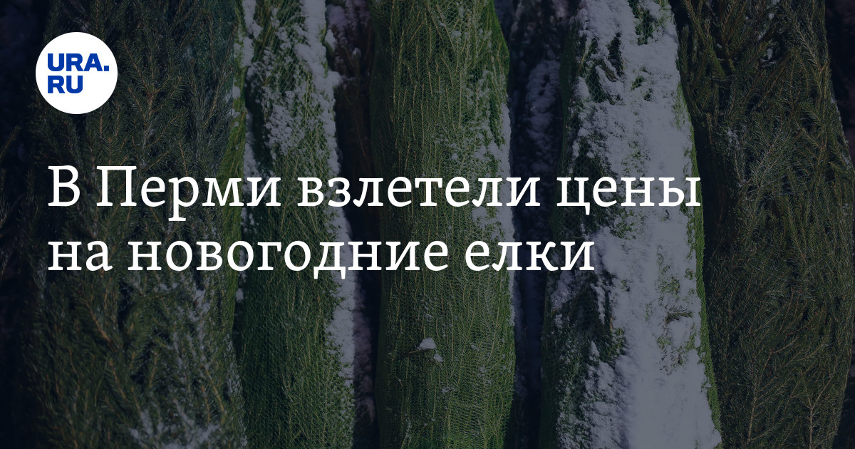 Где купить новогоднюю елку в Перми: цены
