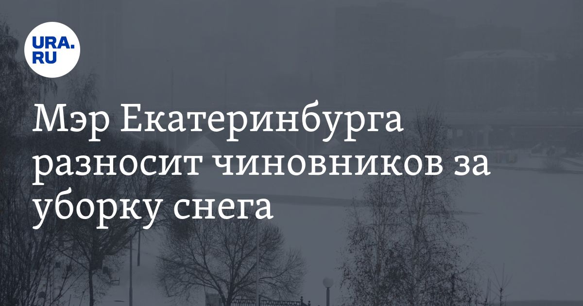 Снегопад в Екатеринбурге: мэр разносит чиновников за уборку города ...