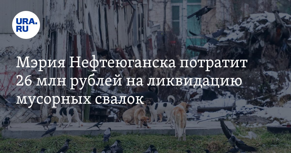 Администрация Нефтеюганска потратит десятки миллионов рублей на очистку ...