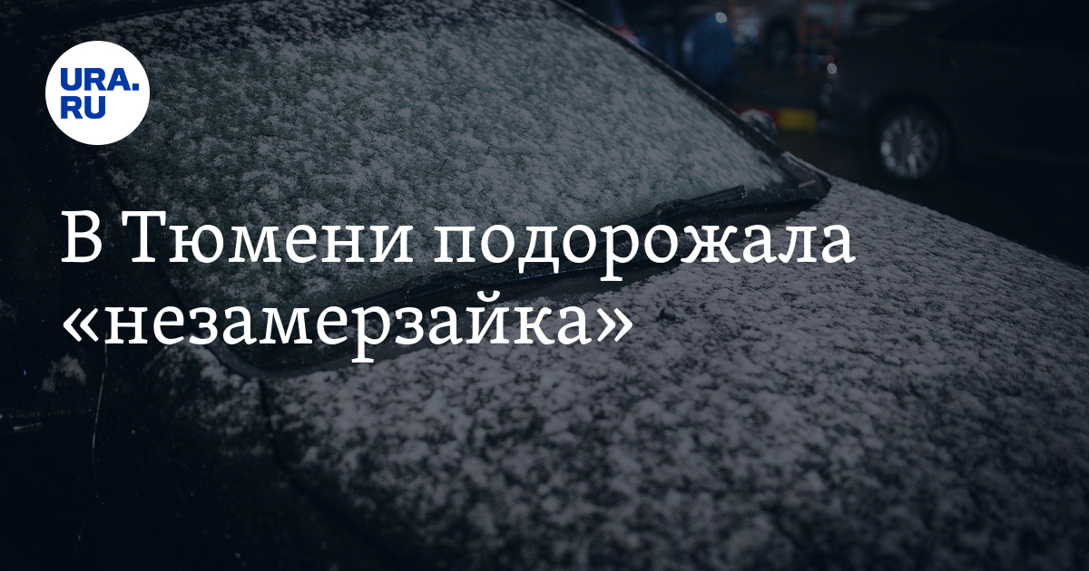 Купить незамерзайку в Тюмени: стоимость