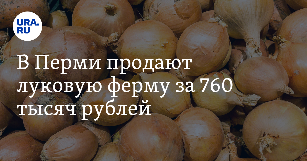 Продажа фермы по выращиванию лука в Перми: цена, описание