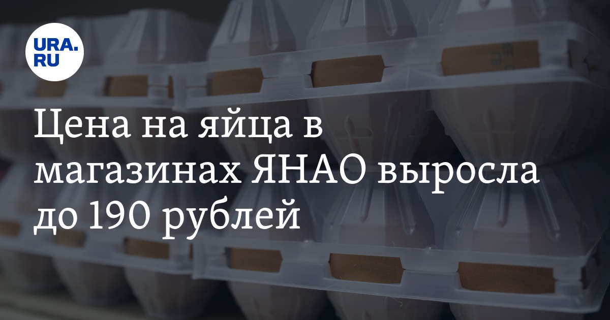 Сколько стоит куриное яйцо в Салехарде: от 150 до 355 рублей, фото