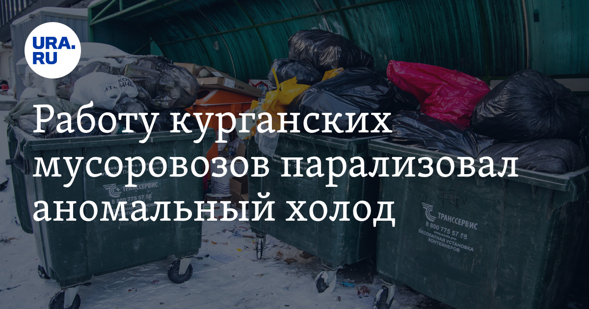 Почему в Курганской области не вывозят мусор, и когда начнут