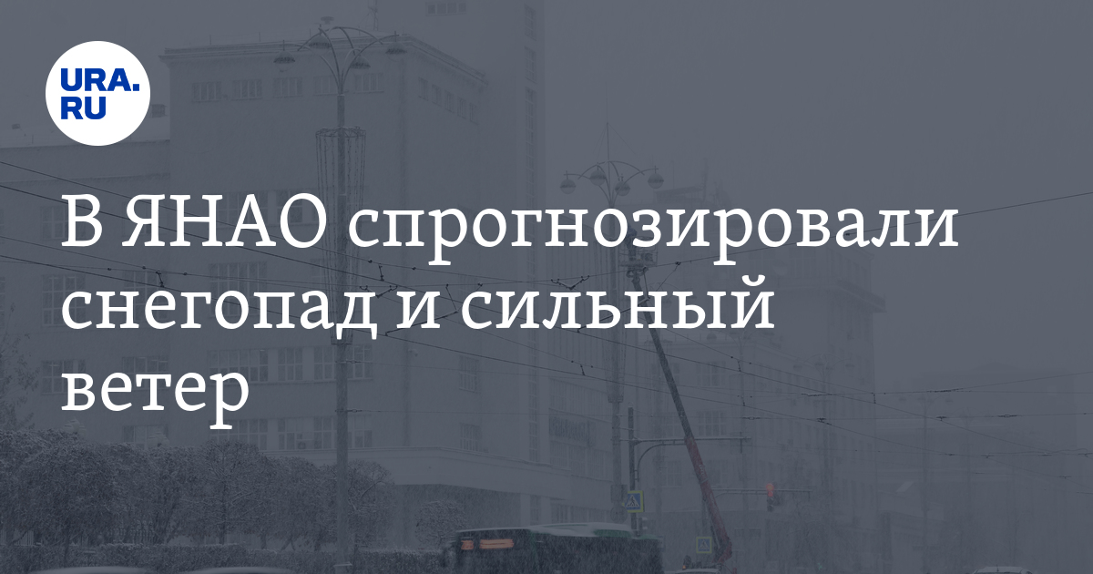 Погода в Новом Уренгое и Ноябрьске с 18 по 24 декабря: прогноз