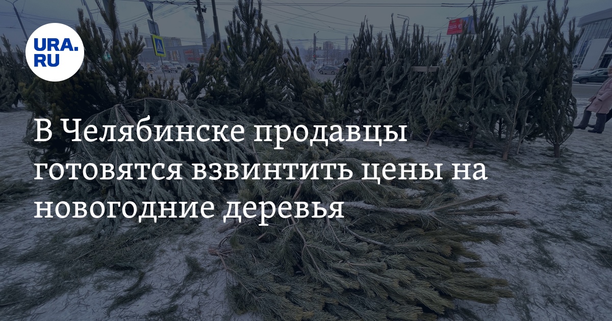 В Челябинске открылись елочные базары: цены на елки, пихты и сосны