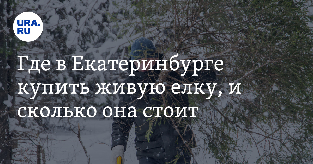 Где в Екатеринбурге купить живую елку: цены, фото