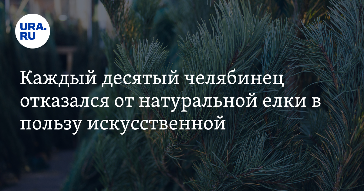 Спрос на искусственные и натуральные елки в Челябинске