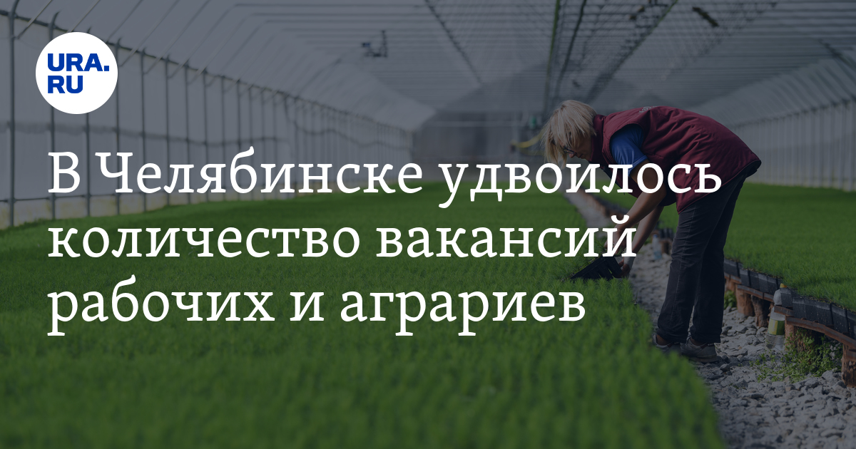 В Челябинске количество вакансий для рабочих и аграриев выросло за 2023