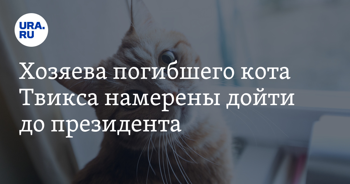 Съел хозяйку. Съел хозяйку