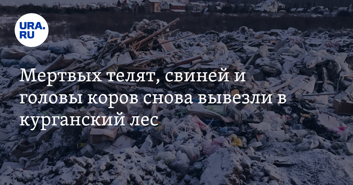 Тоже небо опять голубое. Красивые облака. Лазурь неба. Перисто кучевые хлопьевидные облака. Перестокучевое облоко.