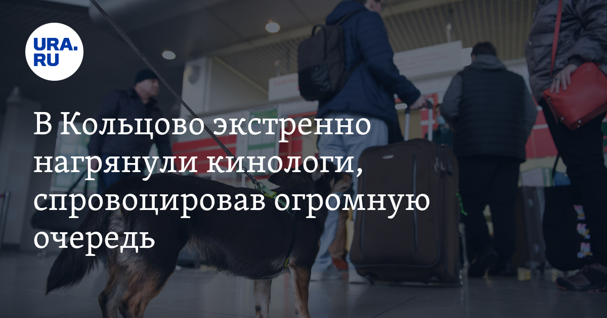 телефон справочной кольцово екатеринбург службы.