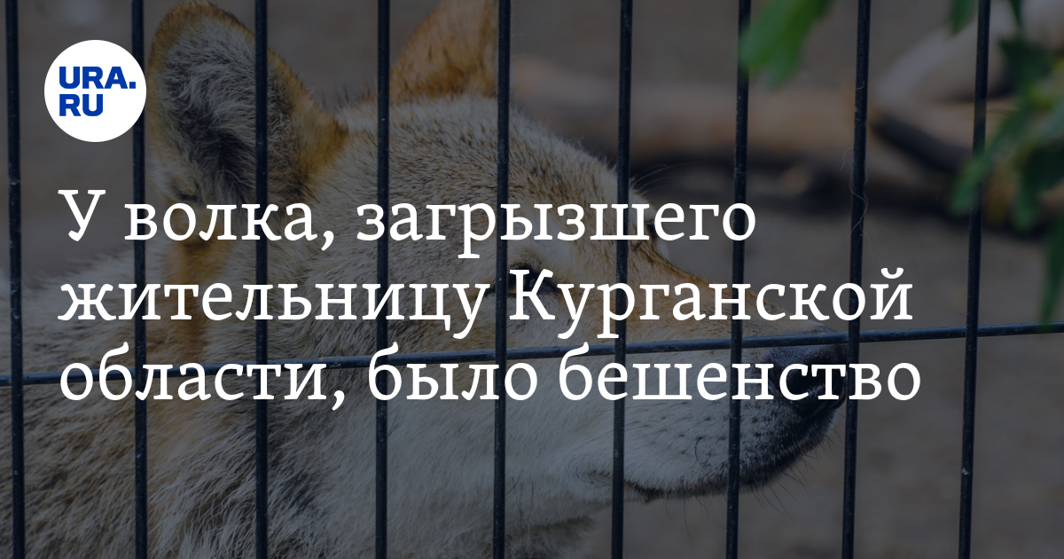 Охотник с ружьем. Охотник в лесу. Михаил тарковский охотник промысловик. Охотник с ружьем в лесу. Лесник в тайге.