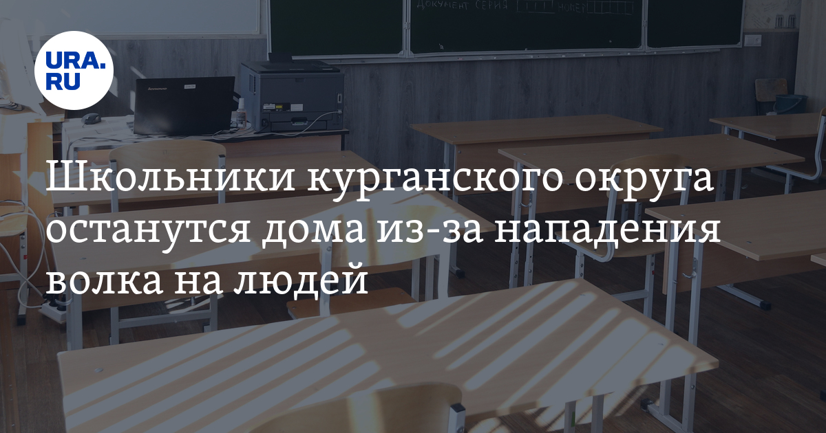 Кудрявые дети. Ребенок остается 2019. Социальные сироты. Ребенок остается 2019. Ребенок остается 2019.