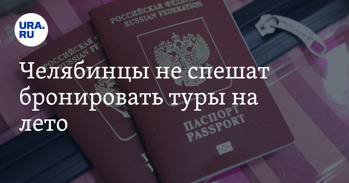 весна пролески. подбел андромеда растение. андромеда подбел обыкновенный. кустарники цветущие весной. подбел андромеда.