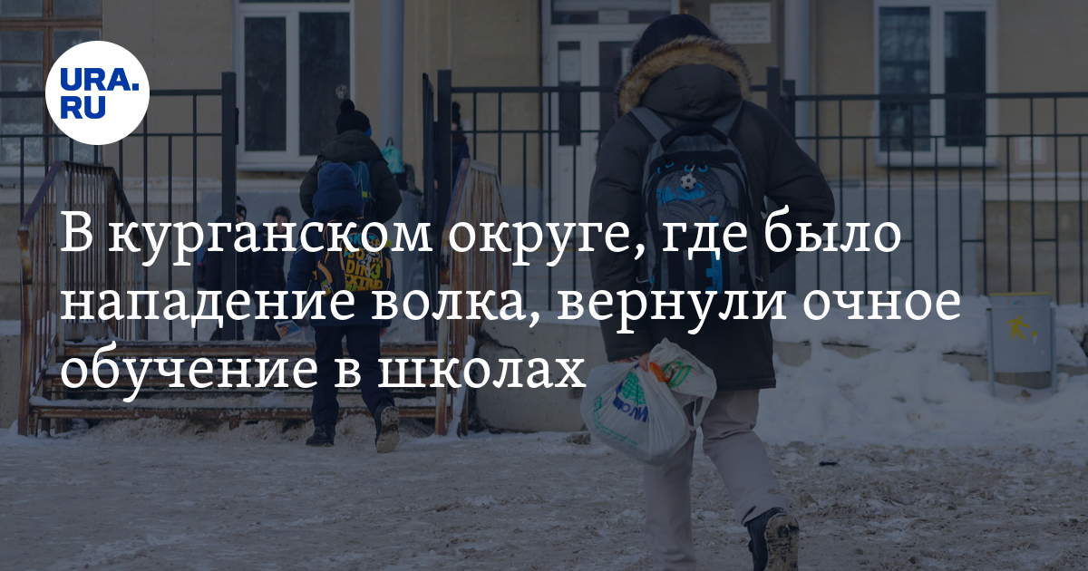 Ученики в школе. Ученики после школы. Что такое впр в школе. Младшеклассники в школе. Также детям обучающиеся по очной.