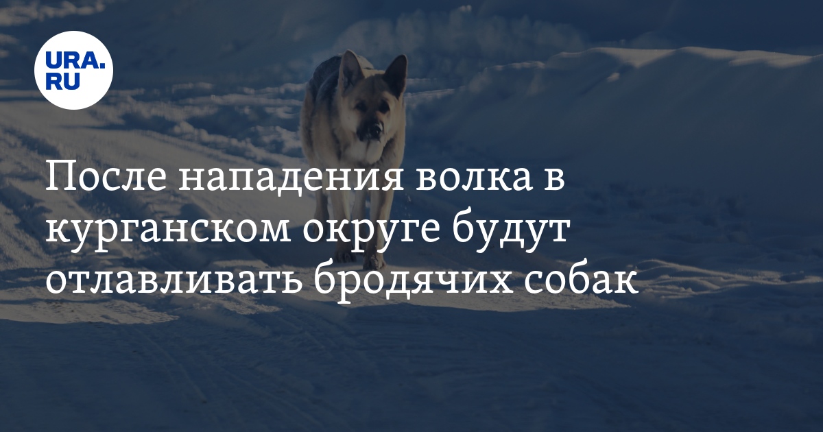 одна н и две нн в разных частях речи. в связи с этим нужна ли запятая. как оформляется предложение на письме. начало положено как пишется. правописание наречий.