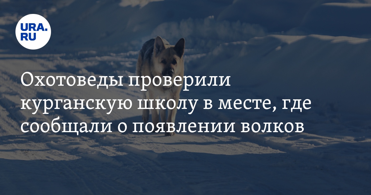 Проверить номер как сохранен. Проверить номер как сохранен