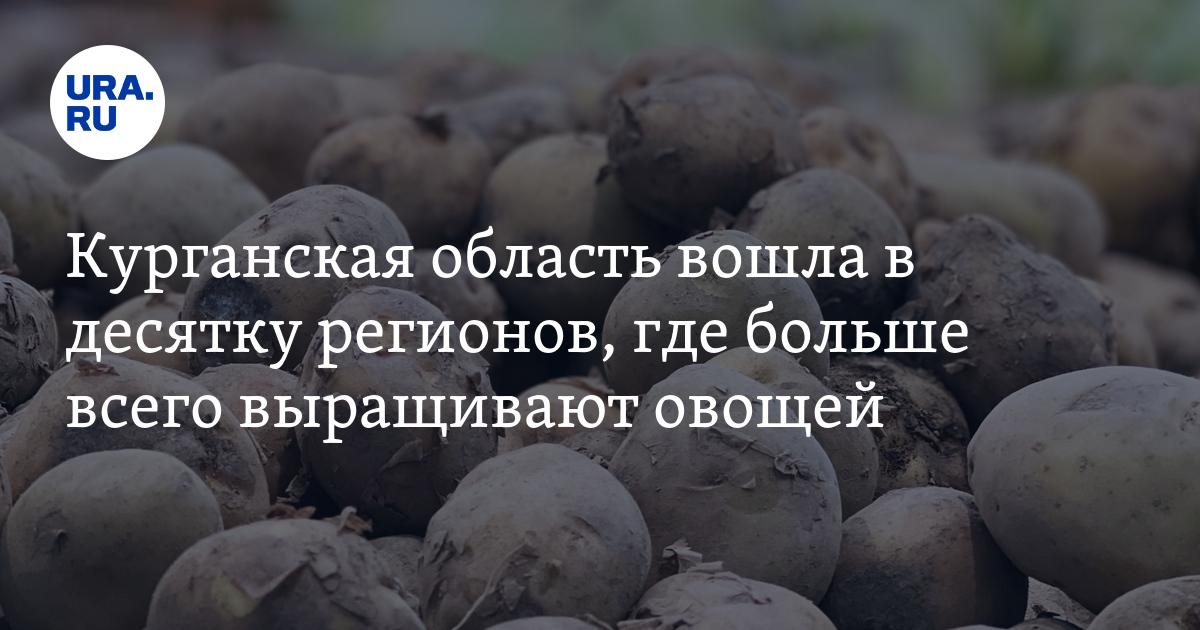 Курганская область вошла в десятку регионов, где больше всего ...
