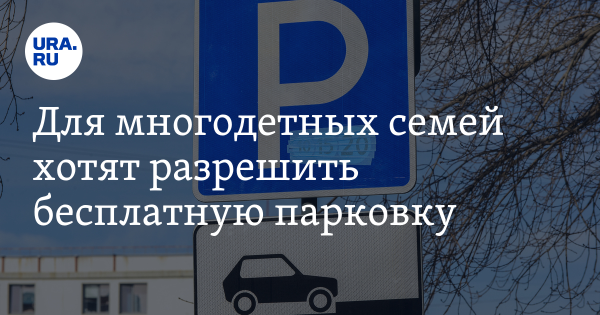 Право многодетных на бесплатную парковку хотят закрепить на федеральном уровне