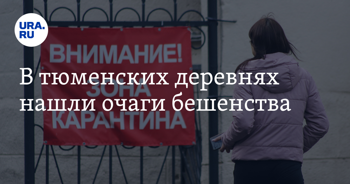 Бешенство в Тюменской области: карантин в селе Исетское и деревне ...