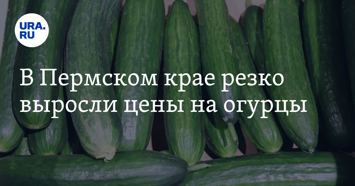 Сколько стоят в Пермском крае огурцы в январе 2024 года