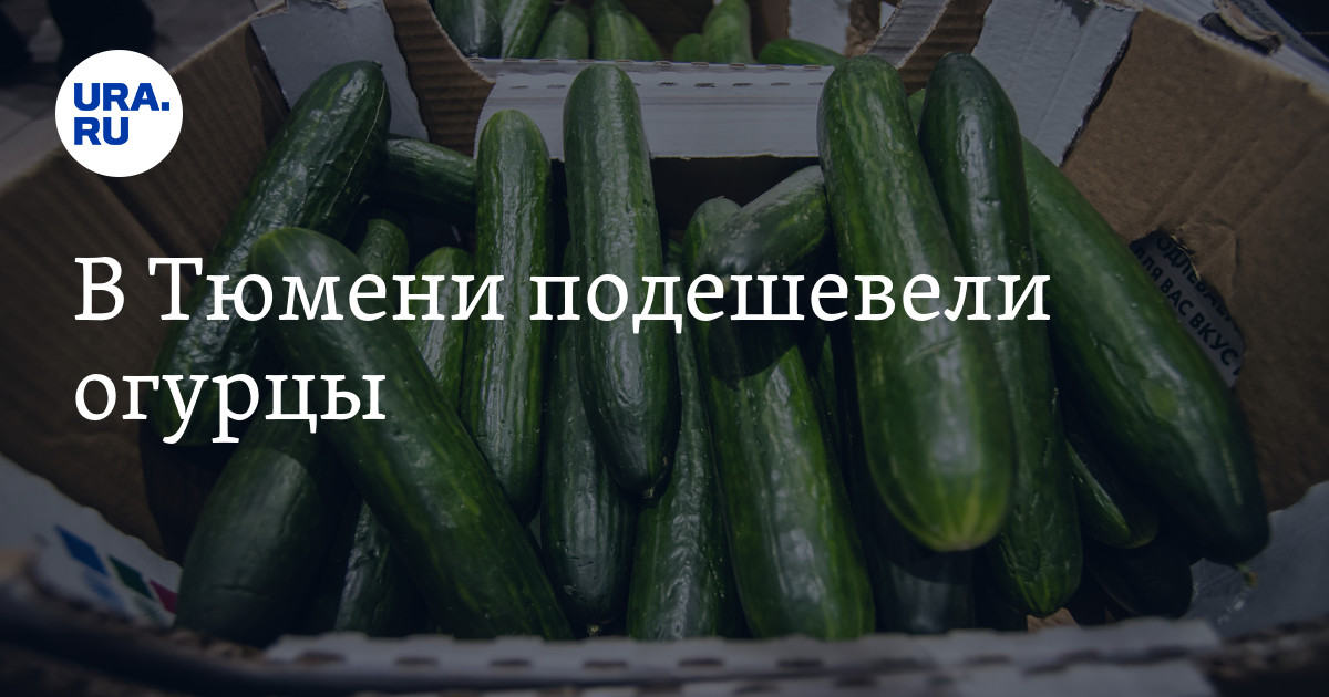 Сколько стоят огурцы в Тюмени