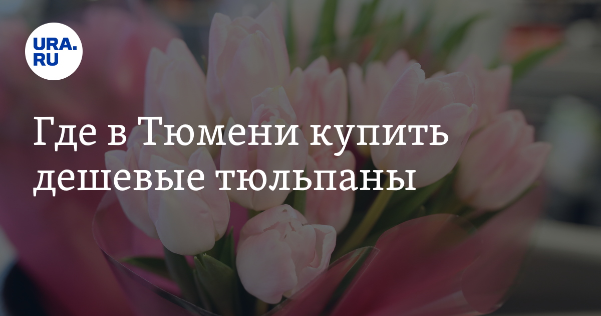 Где в Тюмени купить дешевые тюльпаны