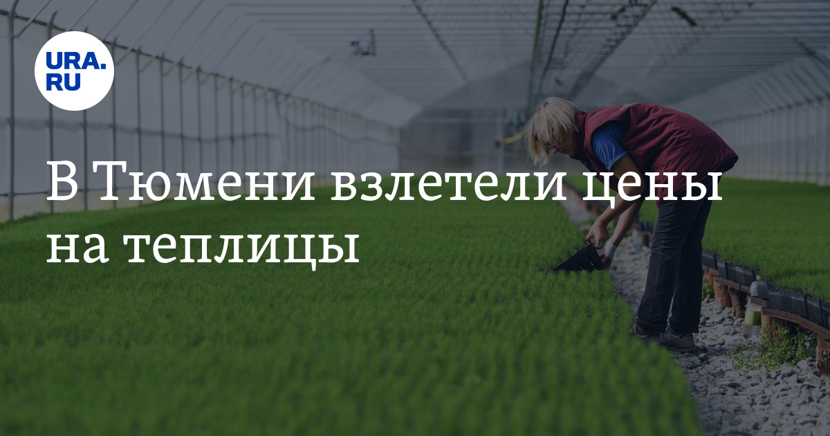 Сколько в Тюмени стоят теплицы: цены