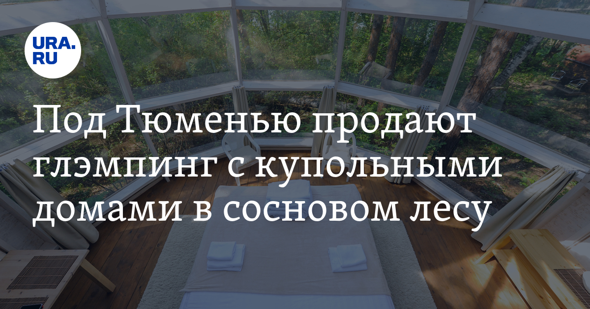 Продажа готового бизнеса в Тюмени: глэмпинг \"Сота парк\" выставлен на ...