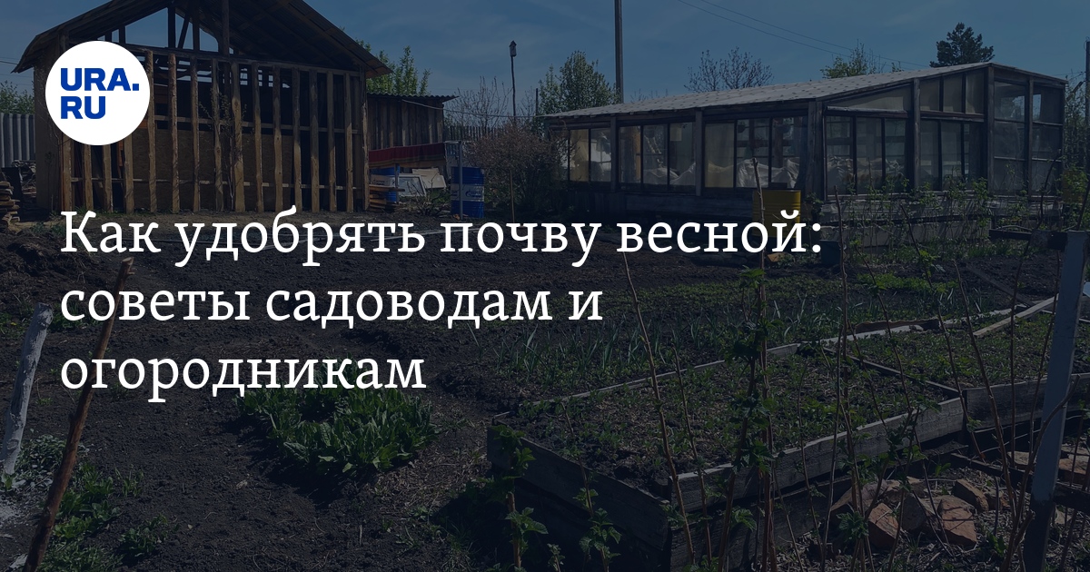 Какие удобрения вносить весной, чем лучше удобрять, минеральные ...