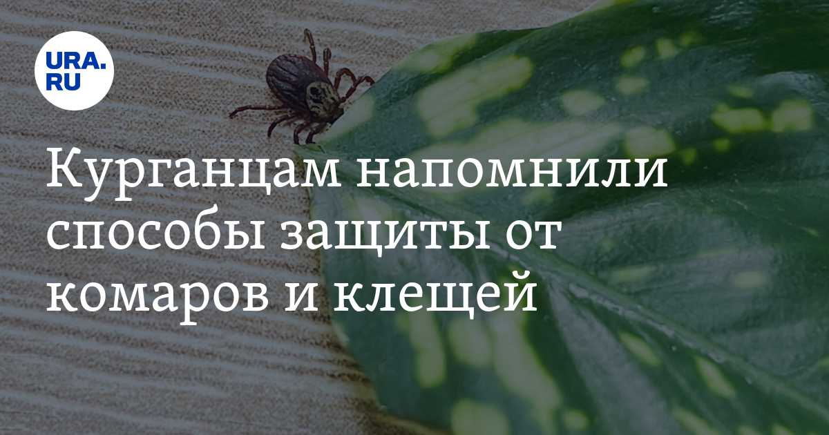 Средства для защиты от клещей и комаров: виды, как выбрать