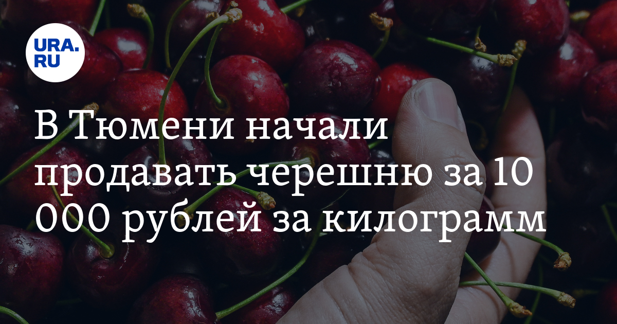 Купить черешню в Тюмени: цена за килограмм